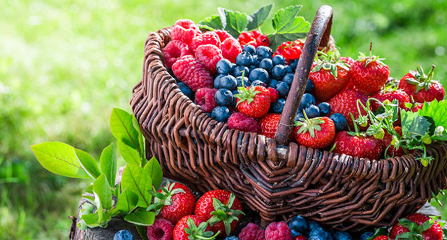 При какой болезни почек повышенное давление