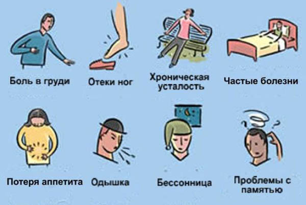 Как почистить сосуды в домашних условиях быстро и эффективно