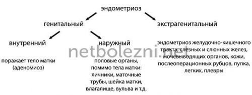 Большие сгустки при месячных: что выходит с кровью?