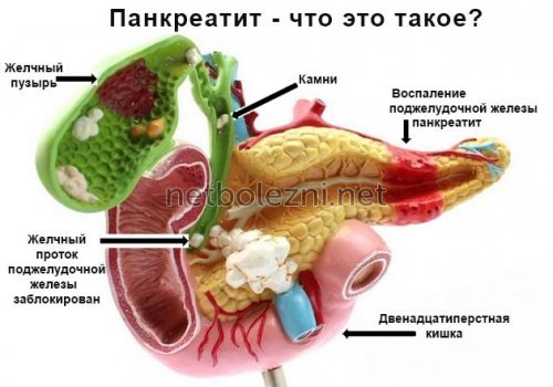 Альфа-амилаза в крови повышена