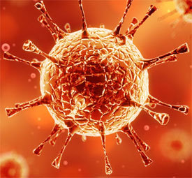 Вирус Зика - причины, симптомы и лечение Zika virus