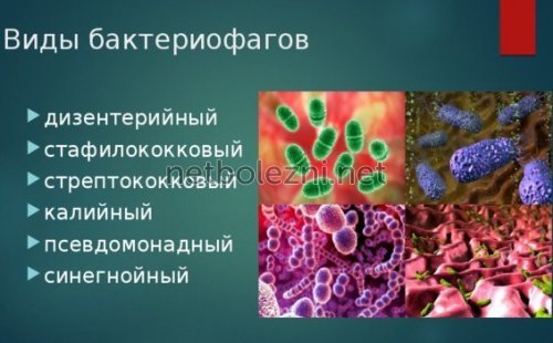 Бактериофаг аналоги цена отзывы инструкция по применению - Аналоги лекарств