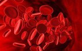 Совместимость групп крови при зачатии ребенка и при переливании