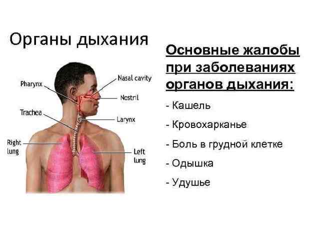 О Чем Говорит Боль в Грудной Клетке Посередине