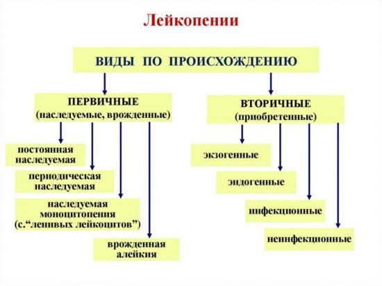Понижены лейкоциты в крови: что это значит у женщин