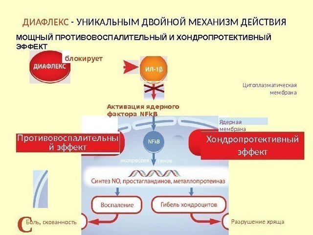 Диафлекс — инструкция по применению, цена, действие