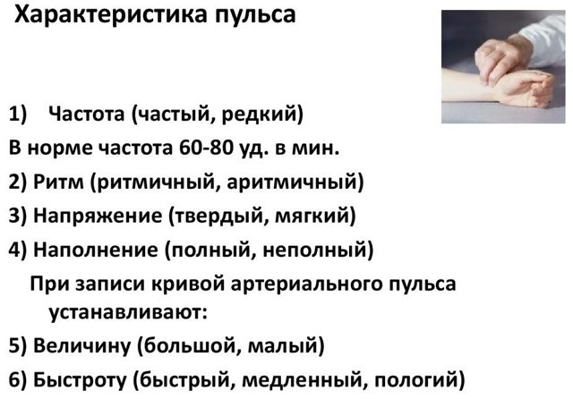 Характеристика пульса: основные показатели нормы
