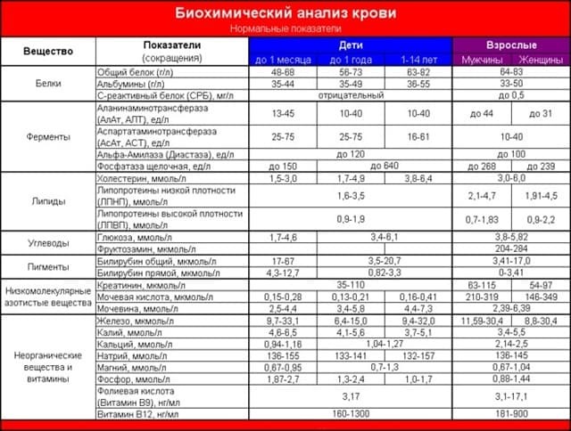 Биохимический анализ крови – расшифровка