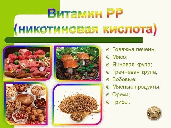 АТЕРОКЛЕФИТ отзывы - развод или правда?