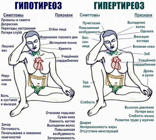 Почему давление высокое вечером. Почему повышается давление вечером. Народные методы лечения