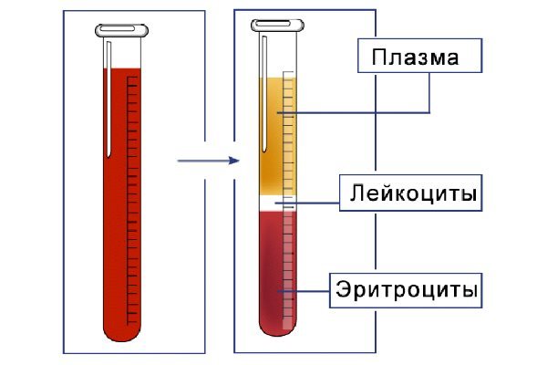 Соэ на верхней границе нормы - Все про гипертонию