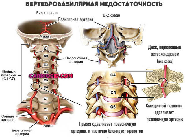 Пульс 73 удара в минуту это нормально - Все про гипертонию