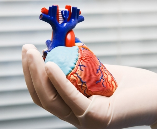 Эндоваскулярное протезирование аортального клапана - ЦЭЛТ