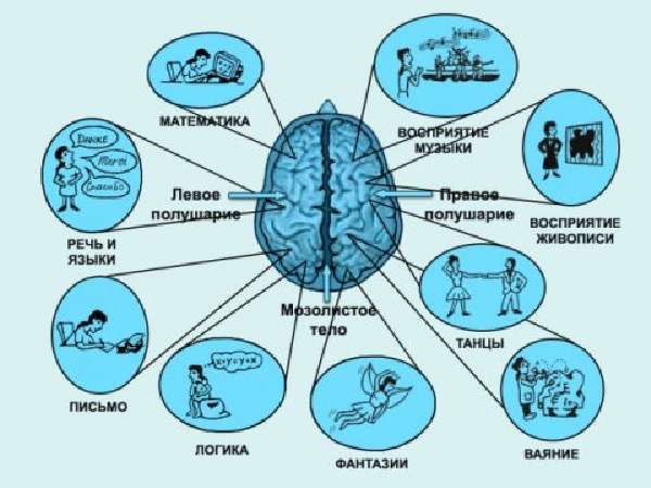 Инсульт левая или правая сторона, последствия, сколько живут