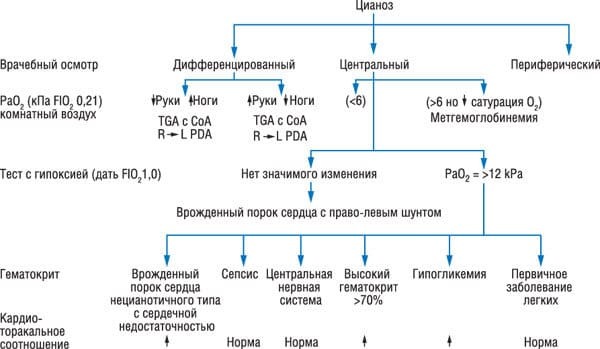 Цианоз - что это? Причины и лечение. Цианоз кожных покровов - о чем говорит синий оттенок кожных покровов