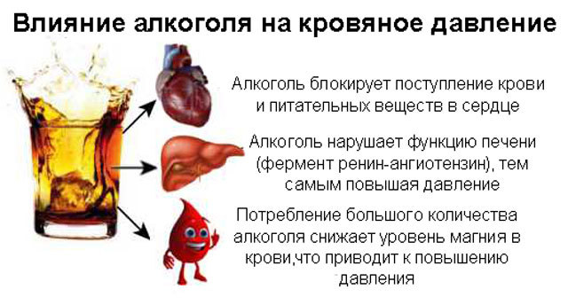 Водка повышает или понижает артериальное давление