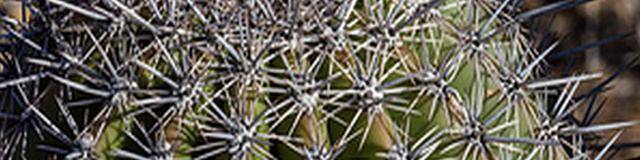 Мазь Левомеколь при геморрое - инструкция