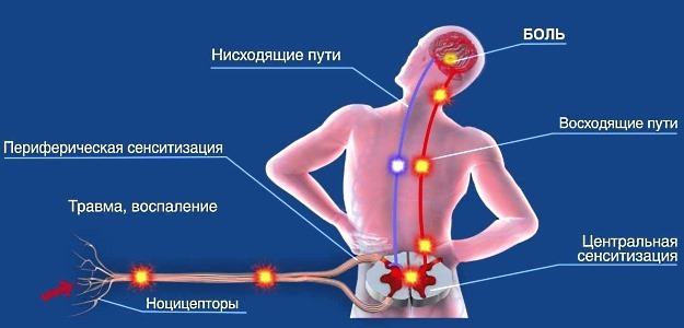 Брустан® (Brustan®) - инструкция по применению, состав, аналоги препарата, дозировки, побочные действия
