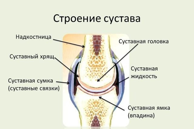 Хруст в суставах причины и лечение — Суставы