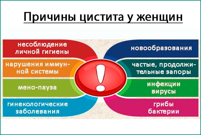 Цистит у женщин - симптомы и лечение в домашних условиях, препараты
