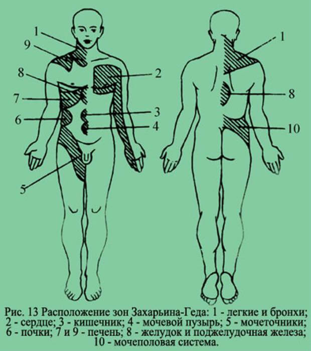 Боль в пояснице справа у женщин: может носить как физиологический, так и патологический характер, причины сильной боли в правой стороне, сзади и внизу