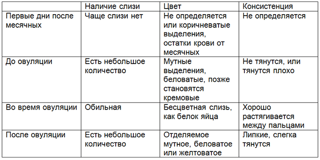 Белые выделения у женщин без запаха и зуда - Мамин советник