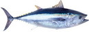 Омега-3 продукты богатые омега-3
