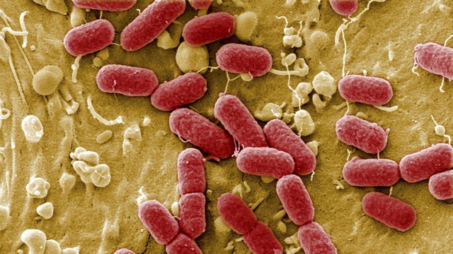 Больно писать мужчине или женщине: основные причины проблем при мочеиспускании, особенности лечения