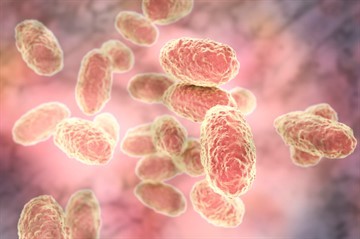 Инфанрикс Гекса: назначение, состав вакцины, инструкция по применению для детей