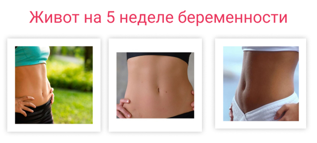 Пятая неделя беременности