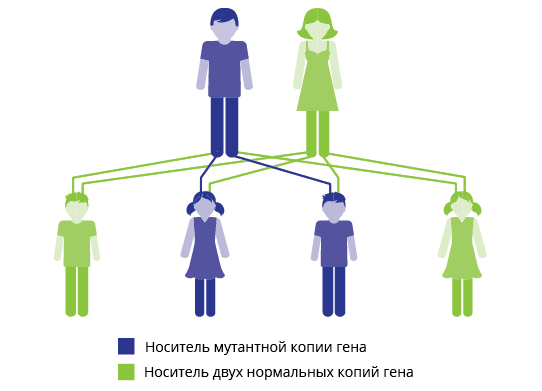 Диагностика рака легких на ранних стадиях, методы диагностики рака легких