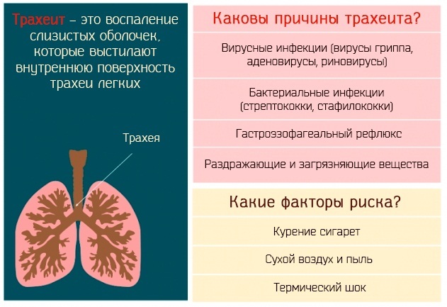 Пиносол - инструкция по применению, состав и аналоги. Пиносол при беременности и для детей, можно ли?
