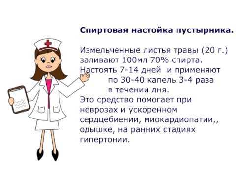 Настойка пустырника - инструкция по применению и противопоказания