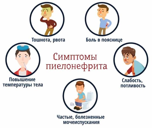 Пиелонефрит - причины, признаки, симптомы и лечение