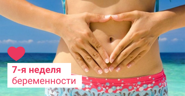 Седьмая неделя беременности