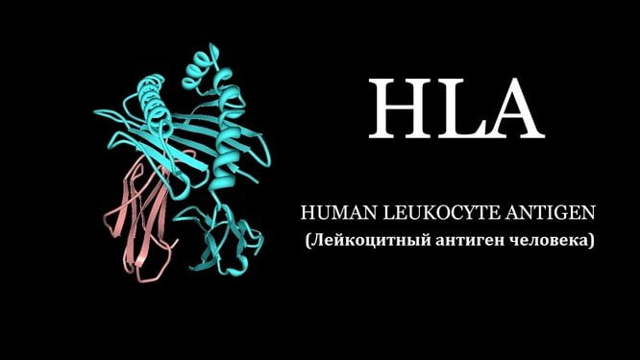 Болезнь Бехтерева – диагностика, симптомы и лечение!