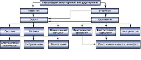 Пиелонефрит - причины, признаки, симптомы и лечение