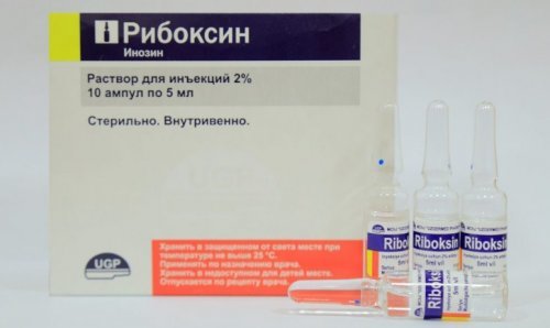 Рибоксин – инструкция по применению, дозы, показания