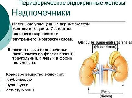 Дюфастон – инструкция по применению при планировании беременности, состав, побочные действия и цена