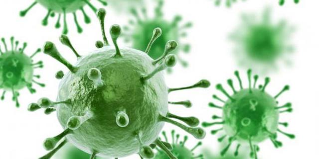 Нолицин: инструкция по применению и для чего он нужен, цена, отзывы, аналоги