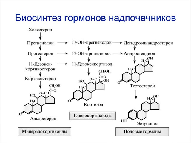 Дюфастон – инструкция по применению при планировании беременности, состав, побочные действия и цена