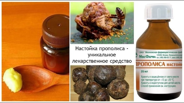 Настойка прополиса - инструкция по применению, лечебные свойства