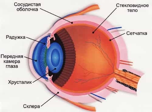 Кровоизлияние в глаз - причины лечение каплями и настоями