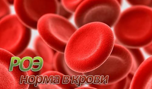Роэ в крови норма у мужчин по возрасту таблица - Все про гипертонию