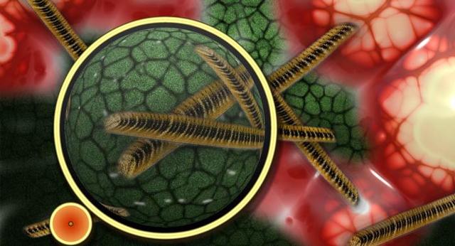 АЗИТРОМИЦИН капсулы - инструкция по применению, описание, отзывы, цена.