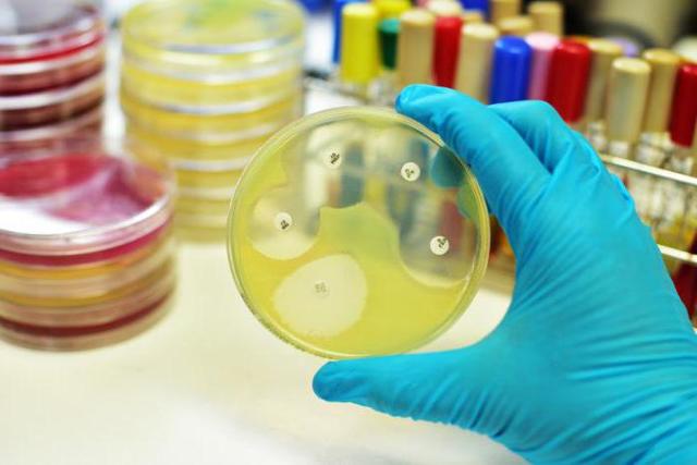 Нолицин: инструкция по применению и для чего он нужен, цена, отзывы, аналоги