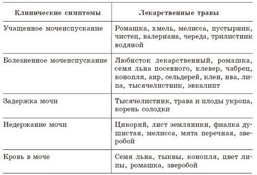 Цистит у мужчин - виды, причины, симптомы и лечение
