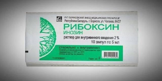 Рибоксин – инструкция по применению, дозы, показания