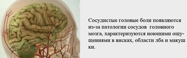 Головная боль в области лба и висков - что делать?