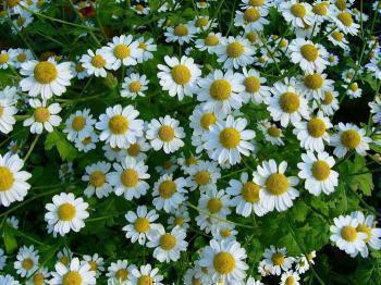 Аквалор для горла: инструкция по применению спрея для детей